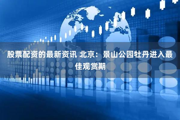 股票配资的最新资讯 北京：景山公园牡丹进入最佳观赏期